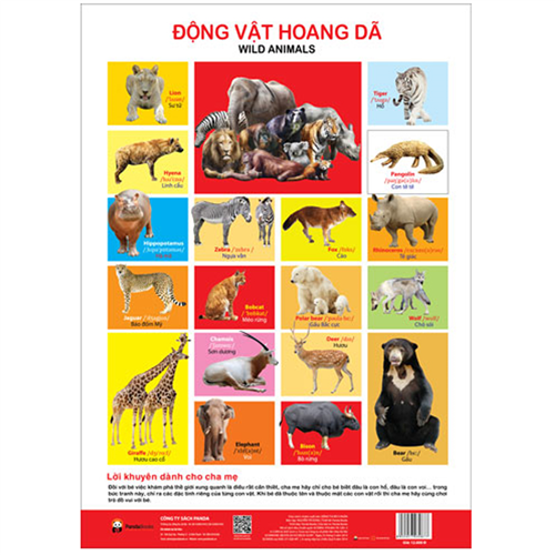 Bán Tờ poster - Chủ đề động vật hoang dã