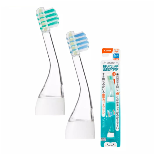 Bán Bộ hai đầu thay bàn chải Teteo Combi 11499