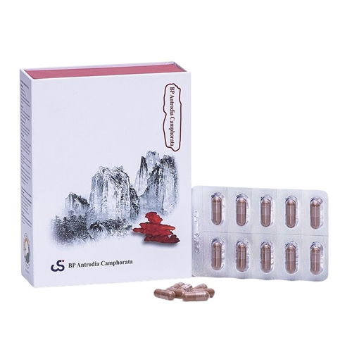 Bán Viên uống nấm Chương chi đỏ BP Antrodia Camphorata (hộp 6 vỉ x 10 viên)