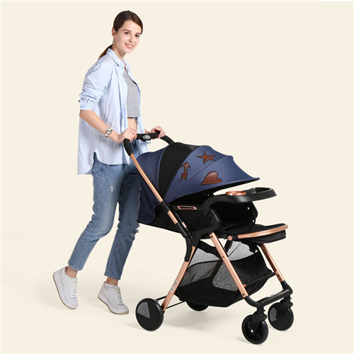 Bán Xe đẩy 2 chiều Baobaohao QK1 (nhiều màu)