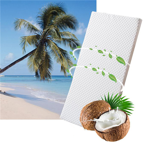 Bán Nệm sơ dừa cao cấp 115*65cm (trắng)