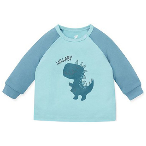 Bán Áo bé trai dài tay raglan Lullaby NH108B (xanh trơn)