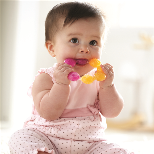 Bán Ngậm nướu Munchkin 74601 hình tròn