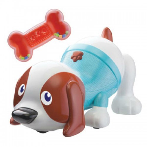 Bán Cún con biết nhảy Bkids