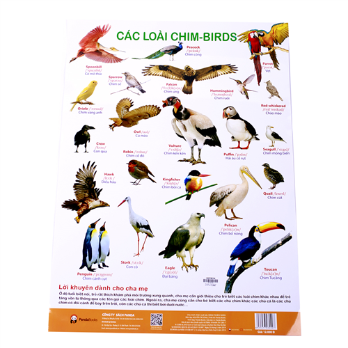 Bán Poster treo tường chủ đề các loài chim