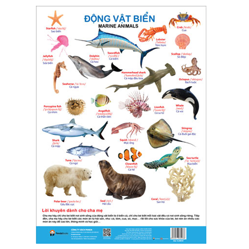 Bán Tờ poster - Chủ đề động vật biển