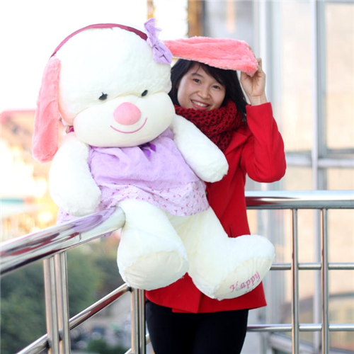 Bán Chó bông tiểu thư dịu dàng
