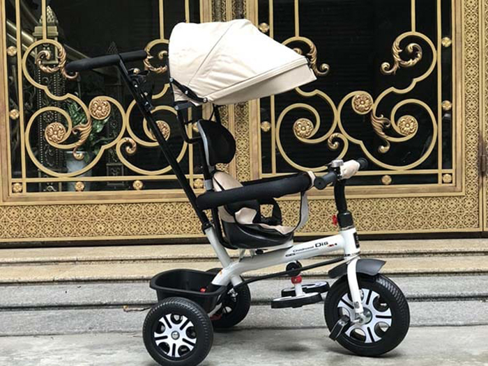 Xe đạp 3 bánh có mái che DS138