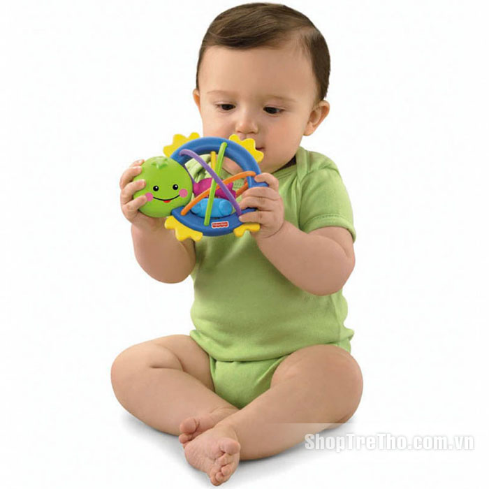 Đồ chơi lục lạc rùa con Fisher Price N2866