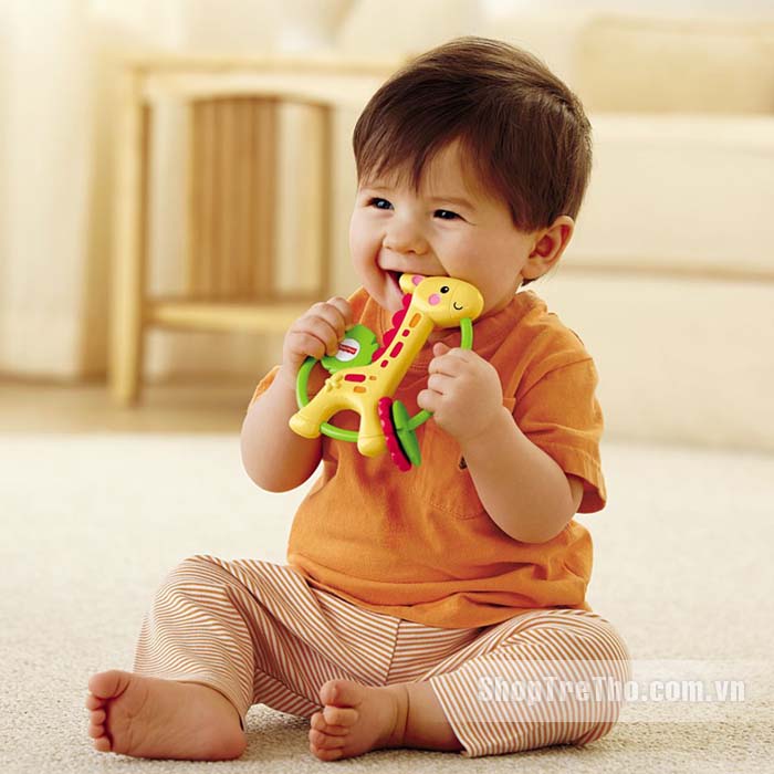 Lục lạc hươu cao cổ Fisher Price Y6582