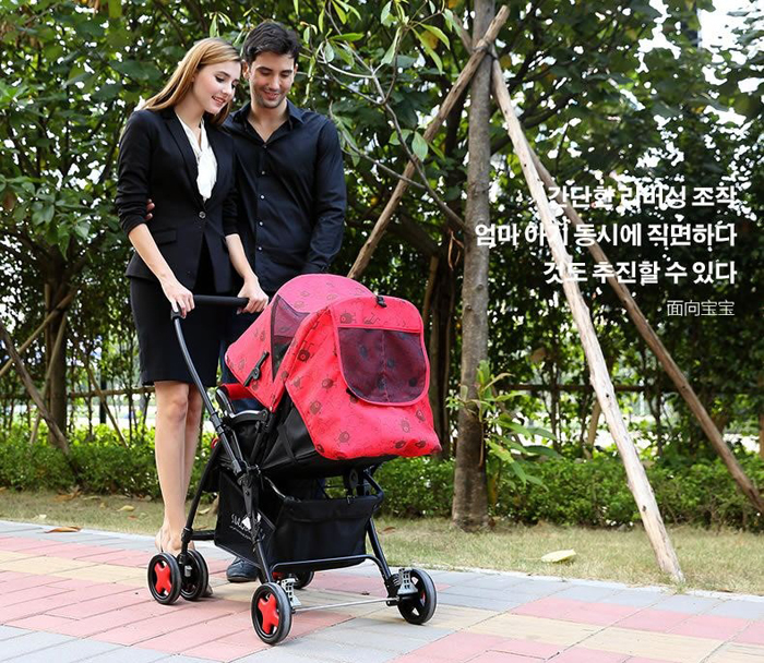 xe-day-bon-mua-seebaby-t08-mini