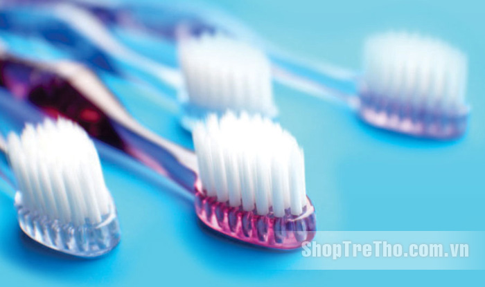 Bàn chải đánh răng Lipzo 2+ và 5+