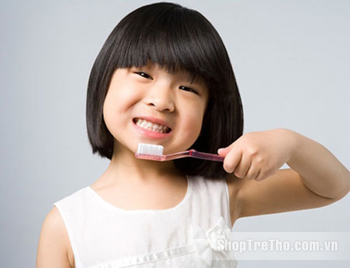 Bàn chải đánh răng Lipzo 2+ và 5+