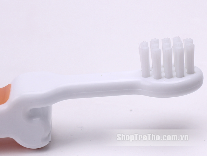 Bàn chải đánh răng Basilic D211