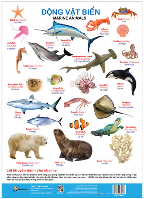 Tờ poster - Chủ đề động vật biển