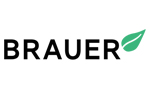 Brauer