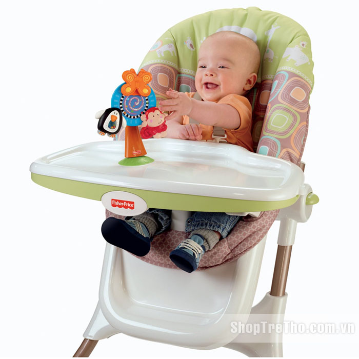 Đồ chơi đu quay rừng xanh Fisher Price W5802