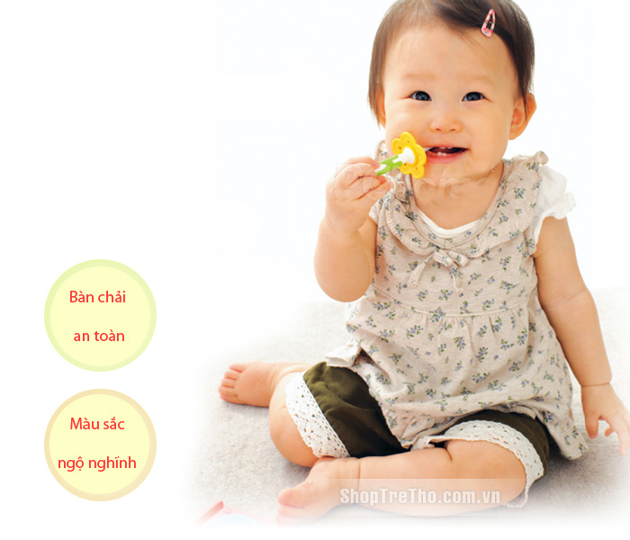 Bàn chải đánh răng RC98175