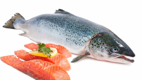 Ruốc cá hồi cao cấp US Food 25g
