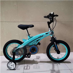 Bán Xe đạp thể thao trẻ em LanQ FD (xanh)
