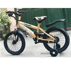 Bán Xe đạp thể thao trẻ em Xiao Amei XAL (vàng đồng)