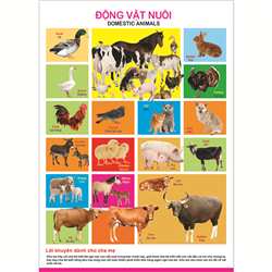 Bán Tờ poster - Động vật nuôi