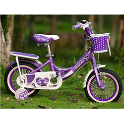 Bán Xe đạp trẻ em TOYUE TK202