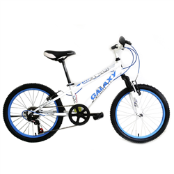 Bán Xe đạp Galaxy MT206