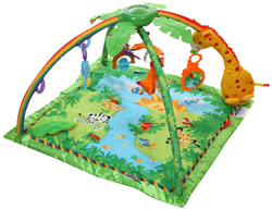 Bán Thảm chơi rừng nhiệt đới Fisher Price K4562