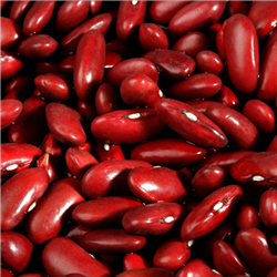 Bán Đậu đỏ hạt to 500g - Sản phẩm tự nhiên