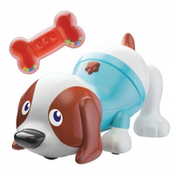 Bán Cún con biết nhảy Bkids