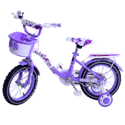 Bán Xe đạp trẻ em AIER AB-303