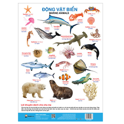 Bán Tờ poster - Chủ đề động vật biển