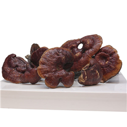 Bán Nấm linh chi lim xanh hoang dã 300g