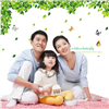 Bán Tranh dán tường tán lá họa tiết con bướm