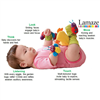 Bán Hộp quà lục lạc đeo tay, chân Lamaze cho bé