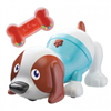 Bán Cún con biết nhảy Bkids