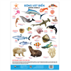 Bán Tờ poster - Chủ đề động vật biển