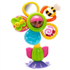 Bán Cây hoa xúc xắc Bkids